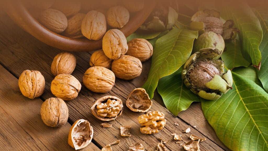 Benefits of walnuts for diabetes
