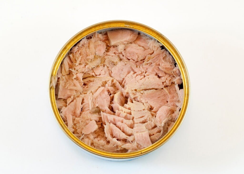 canned tuna - photo: NLAURIA / Getty Images