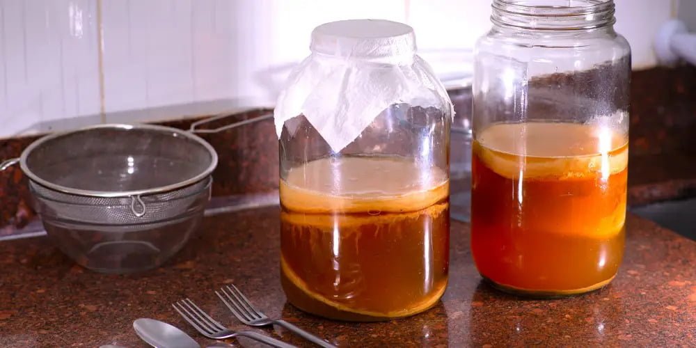A Dietitian's Guide to Kombucha's Health Benefits - Photo by Helder Faria/Getty Images