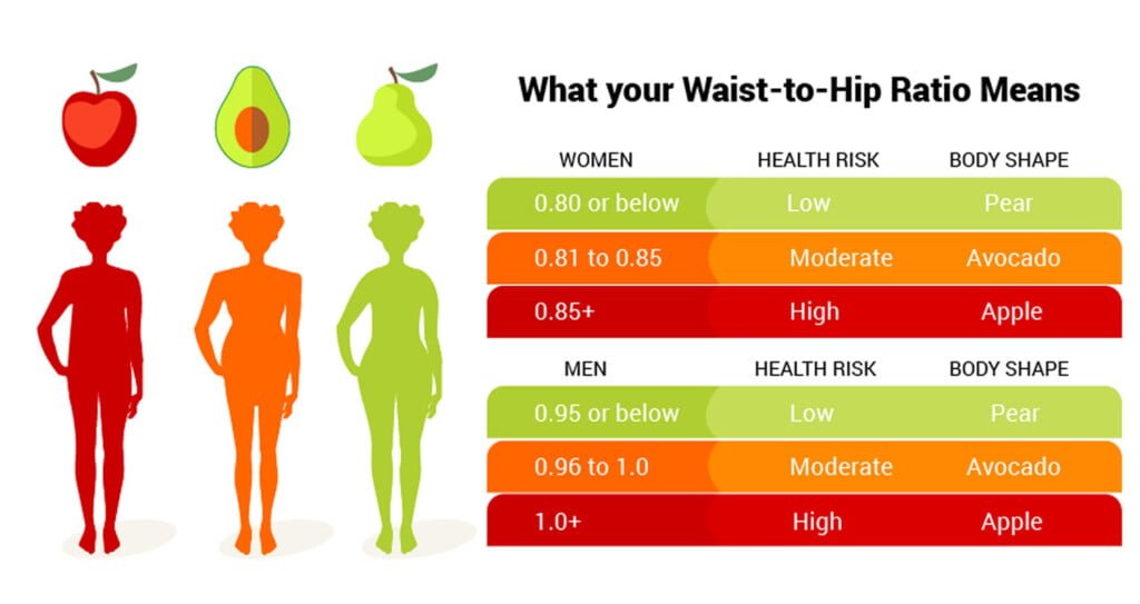 waist hip ratio