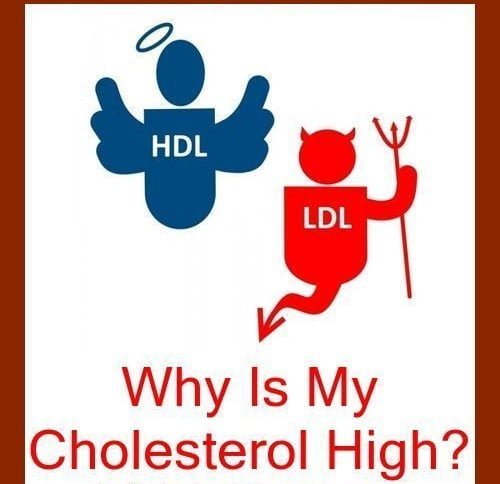 why cholesterol is high in a healthy person?