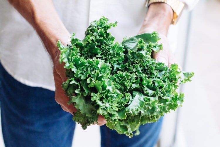 7 kale benefits, from digestion to cancer prevention - Photo by Adolfo Félix