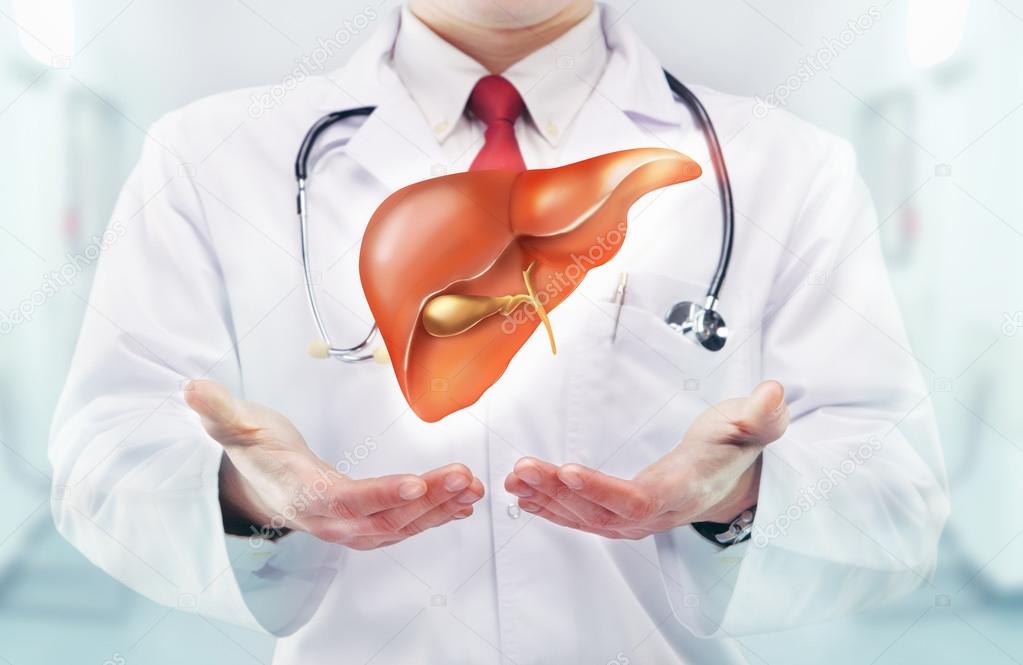 depositphotos 66139393 stock photo doctor with liver