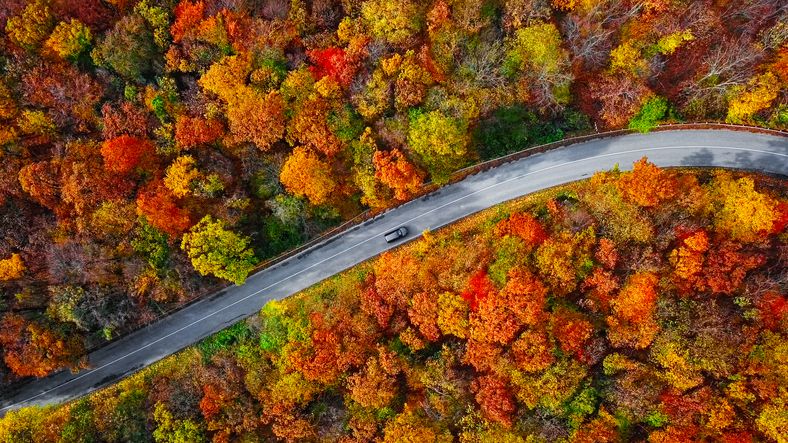 overhead aerial view of winding mountain road inside colorful autumn forest 1250041285 26c8352c30ec468a8a8f126cb43fc3a0