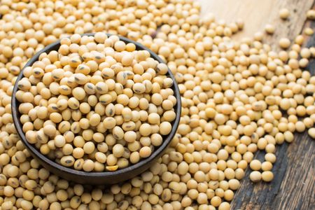 soybeans for health