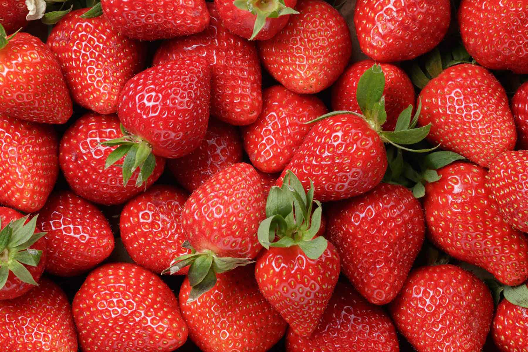 Strawberries 1200x800 1