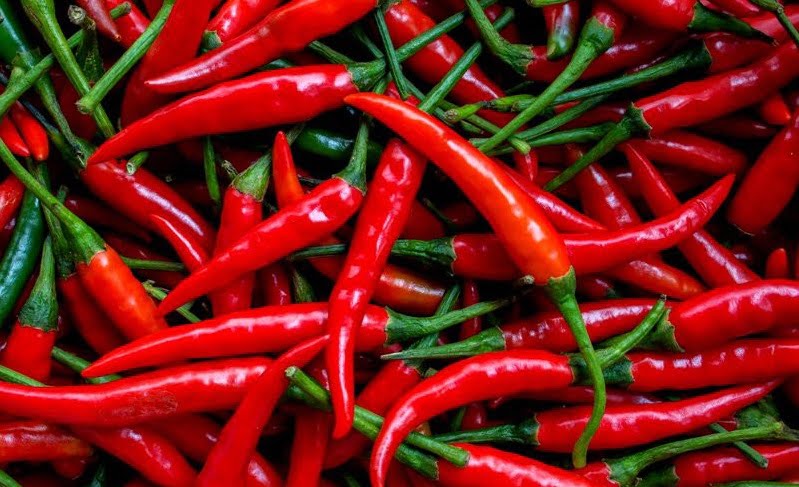 indonesian local chilli pepper