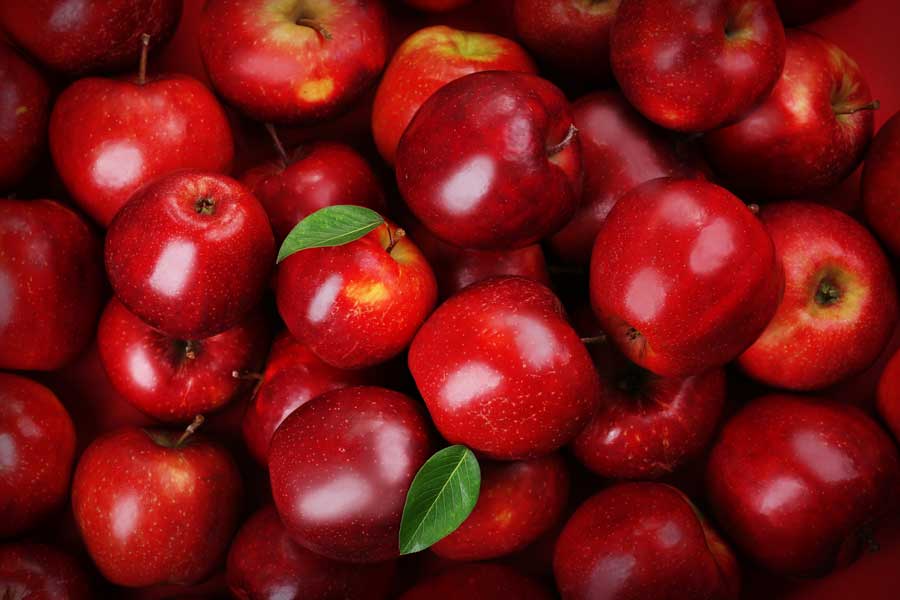 Jesmond Fruit Barn Red Delicious Apples