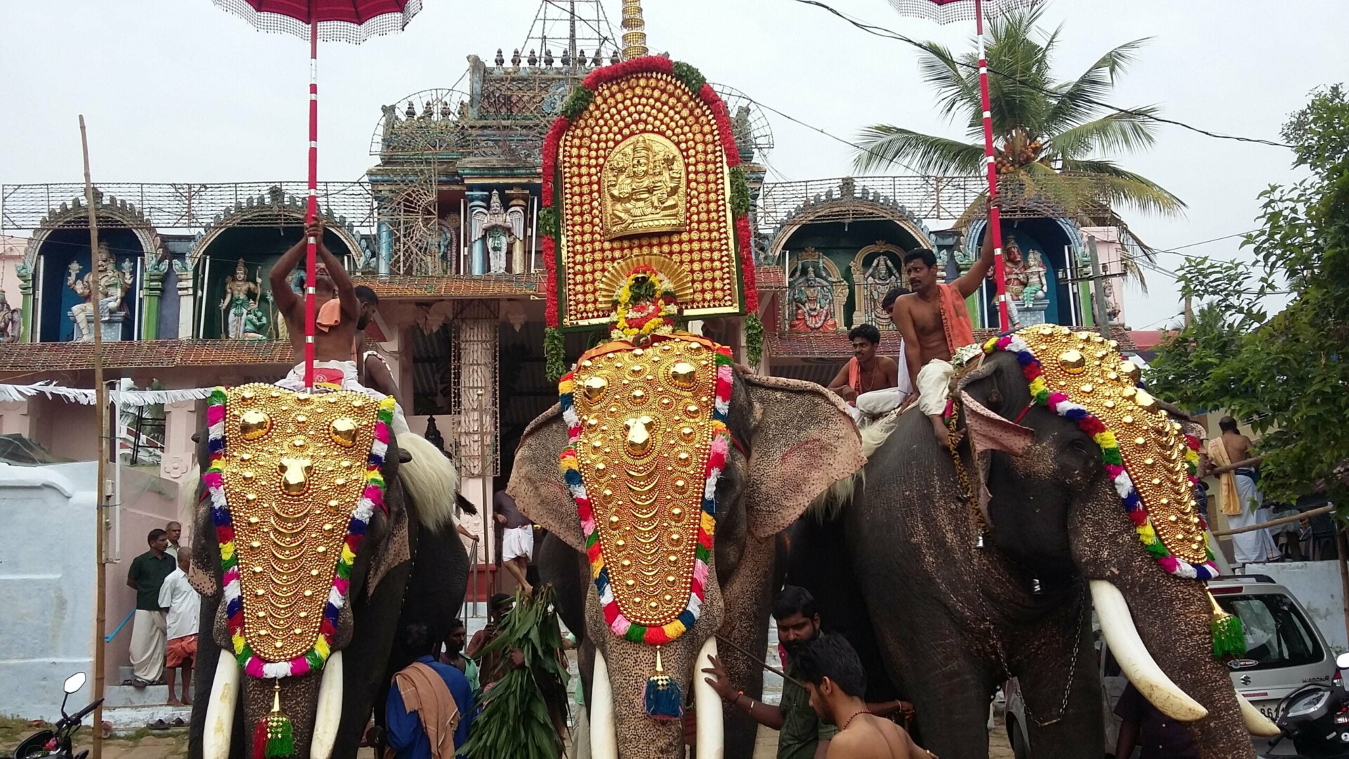 Elephants ready for the procession in Kerala scaled 1
