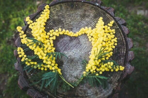 Flowers for women 2