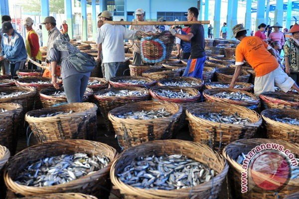 Indonesia xuat khau ca sang Trung Quoc 1