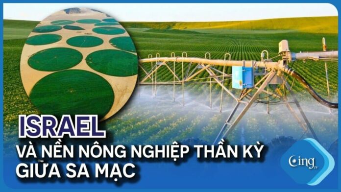 Israel và nền công nghiệp thần kỳ giữa sa mạc