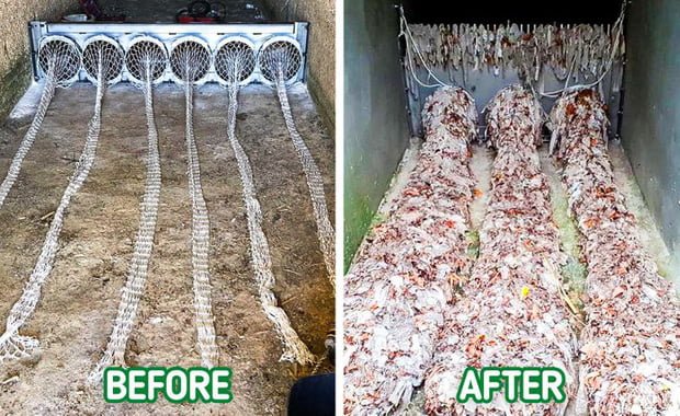 Every year, millions of tons of waste are released into the environment, but that tragedy will disappear with a special invention