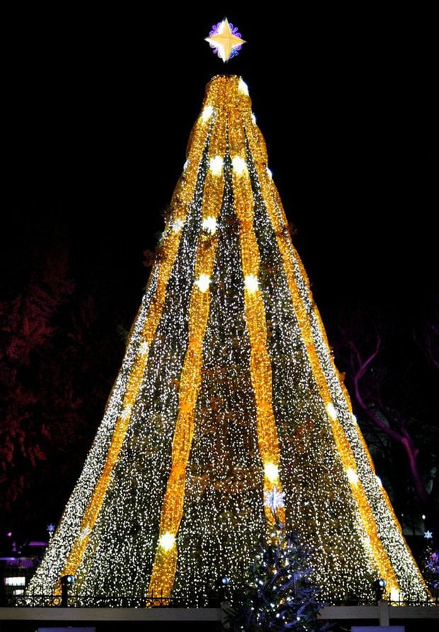 The most special Christmas trees in the history of Christmas seasons around the world