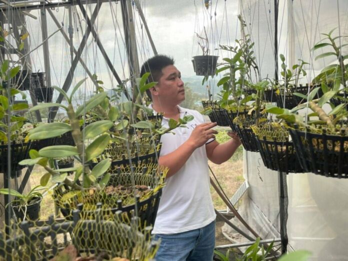 Lê Văn Nam: Chủ nhân trẻ của vườn lan khủng