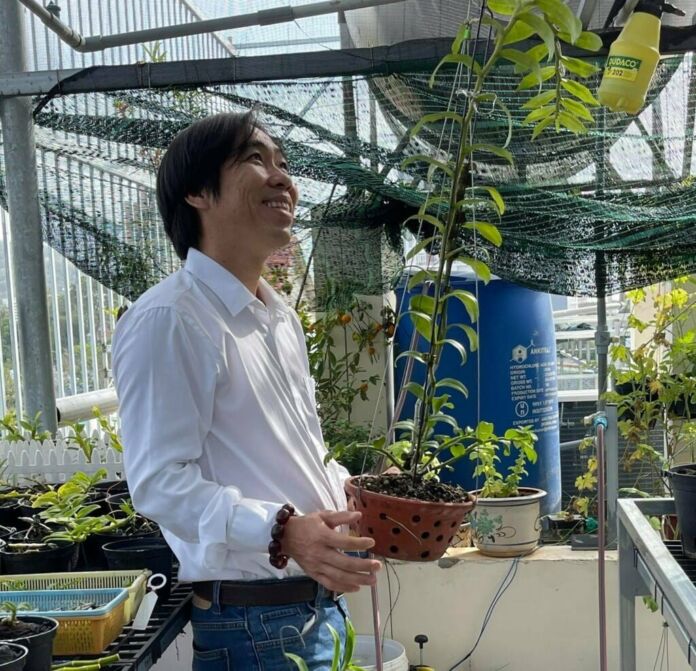 Khu vườn toàn loại quý hiếm của ông chủ vườn lan Nguyễn Huy Bình