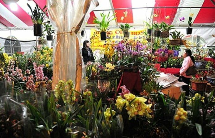 Tết đầm ấm của cộng đồng người Việt tại Mỹ