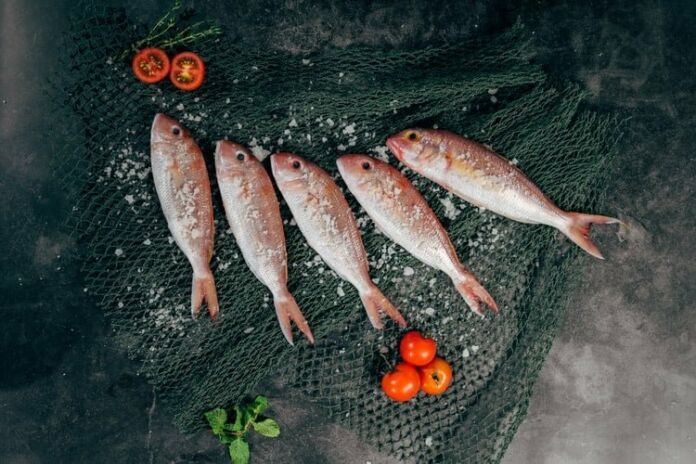 Know About Fish – Photo by Harris Vo