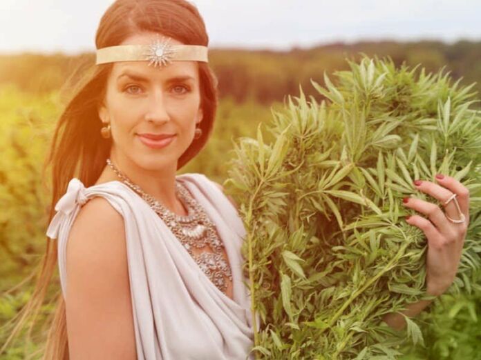 Haircare with Cannabis flower essential oil 