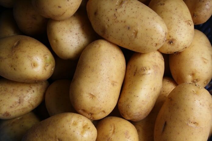 Is Potato Healthy? - Lar Blankers