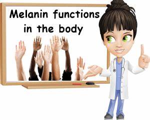 What Is Melanin's Purpose?