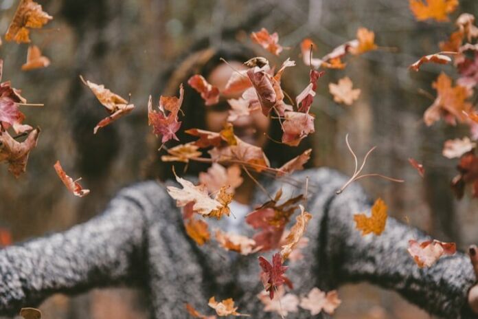 What causes fall allergies and how to avoid them - Photo by Jakob Owens