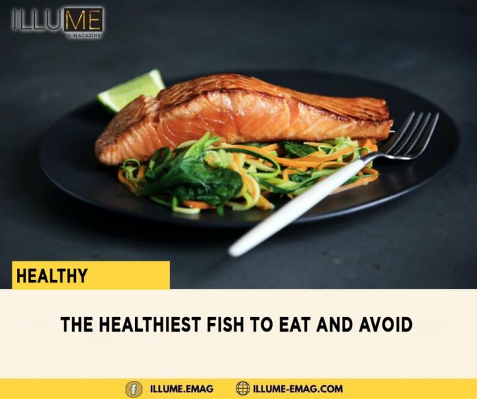 The Healthiest Fish To Eat And Avoid - LAVYON