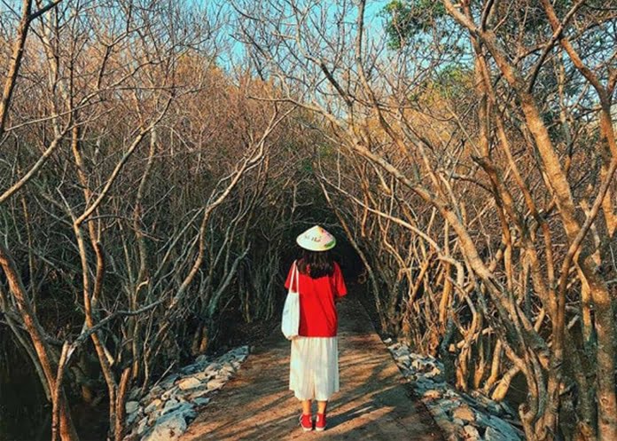 the gioi binh yen o rung ngap man ru cha11