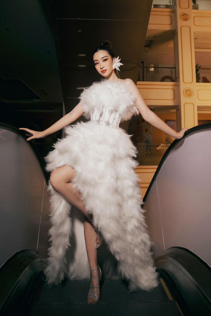 Do My Linh 2