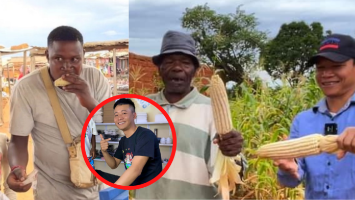 quang linh vlogs