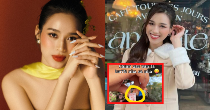 Đỗ Hà