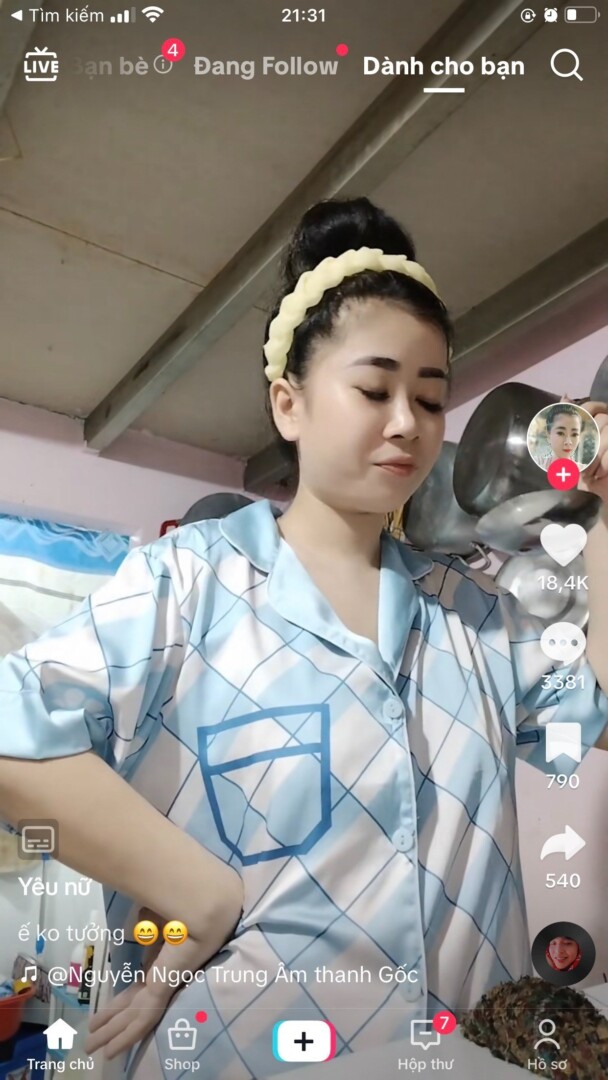 Mai Phuong 2