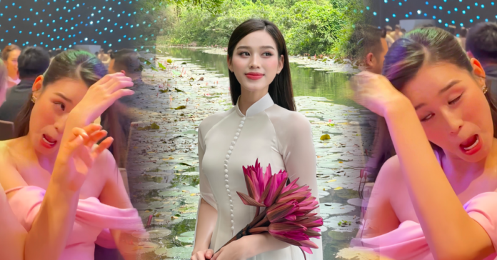 do-thi-ha-lo-khoanh-khac-tau-hai-cuc-manh
