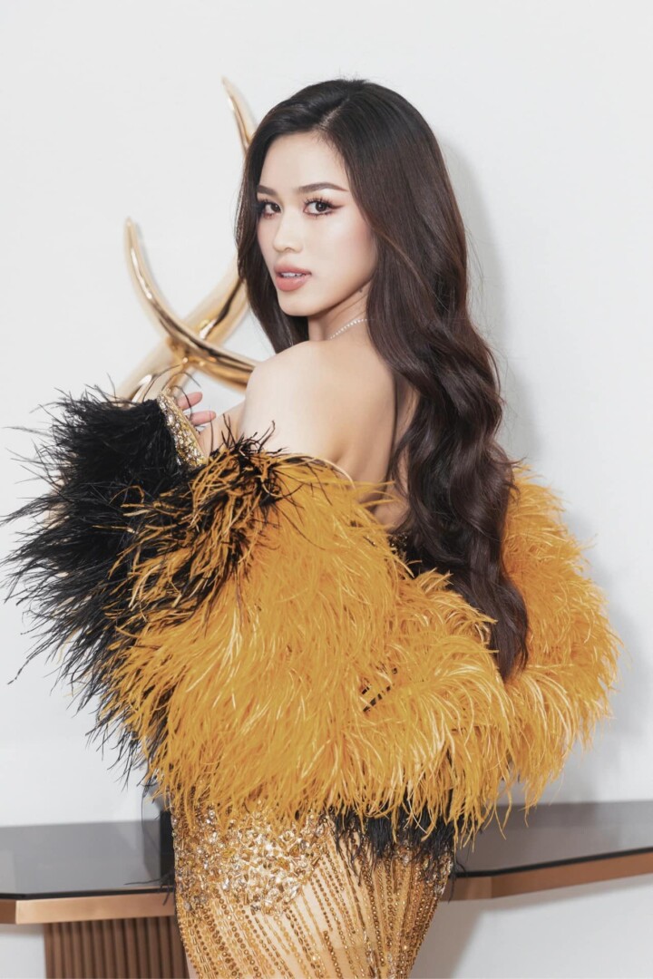 đỗ thị hà