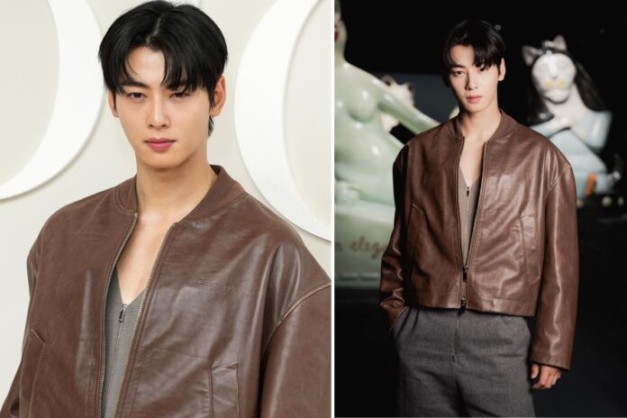 cha eun woo