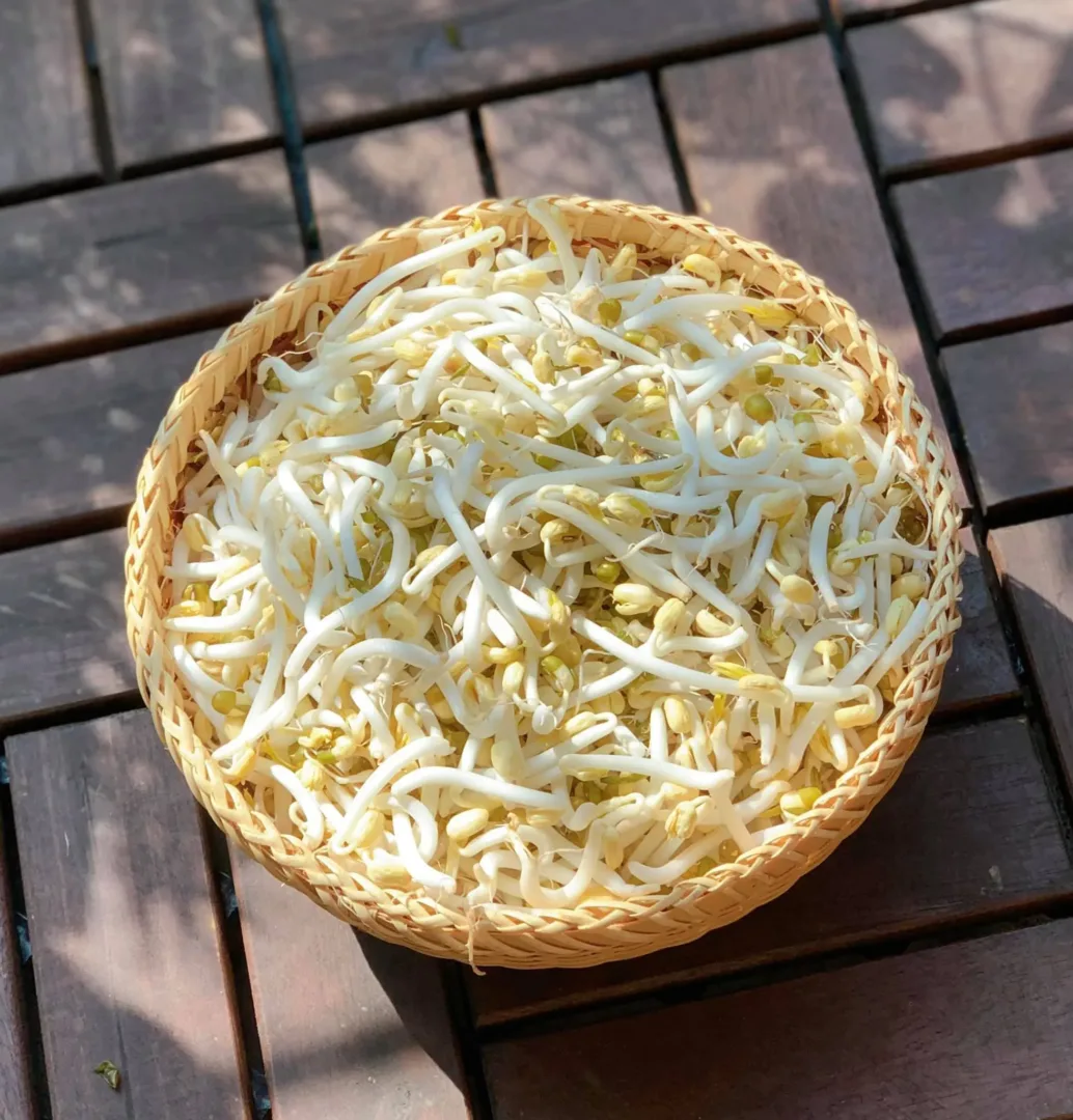 giá đỗ