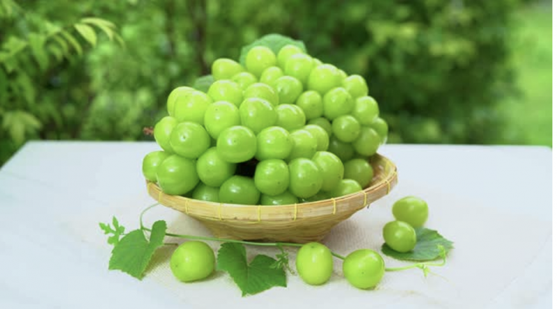 Anh chup Man hinh 2023 09 02 luc 1693614324805