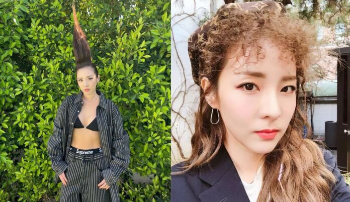 dara