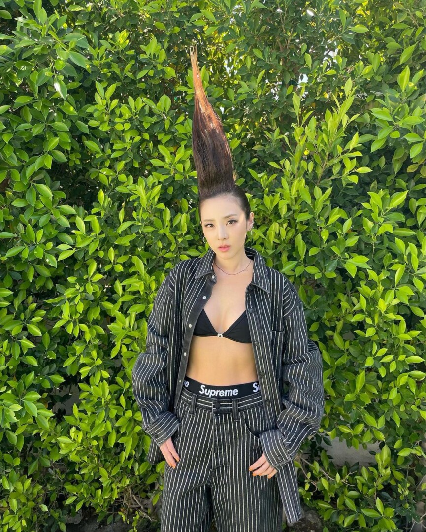 dara