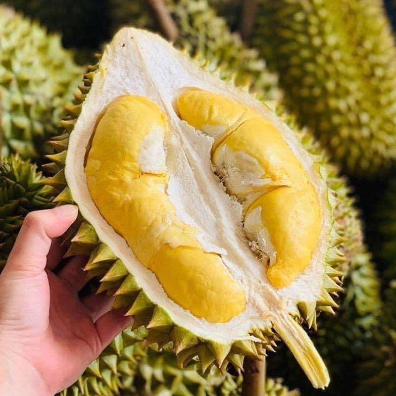 sầu riêng