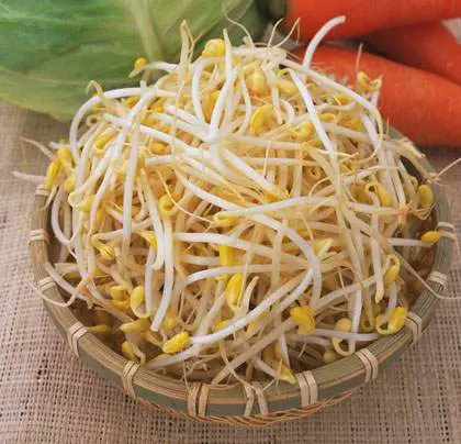 giá đỗ