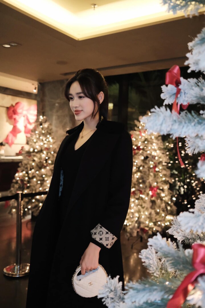 đỗ thị hà