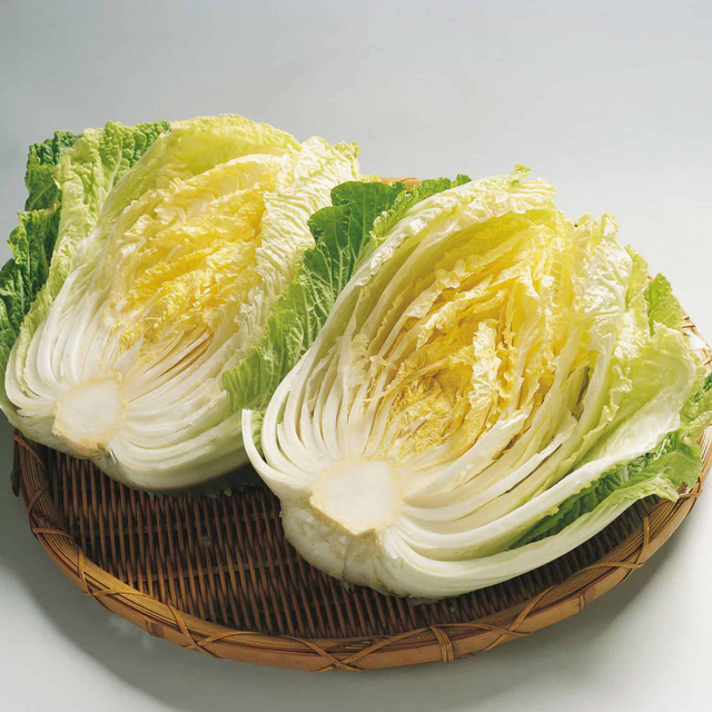 cải thảo