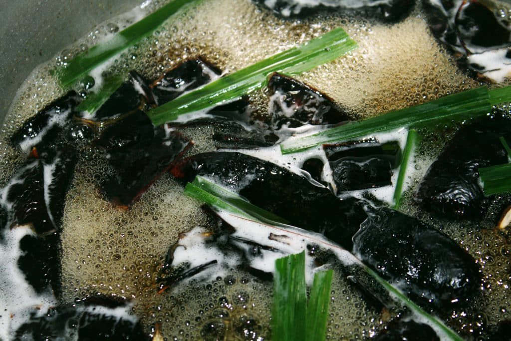 bồ kết