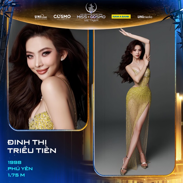 DINH THI TRIEU TIEN