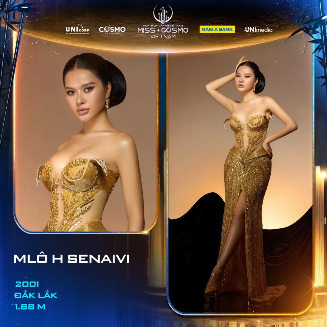 MLO H SENAIVI2
