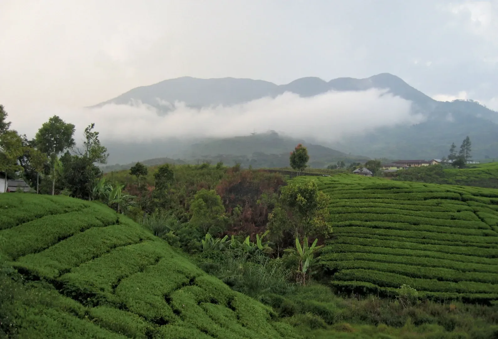 5 Must-Visit Hidden Gems in Southeast Asia 10 Mount Talang propinsi West Sumatra Indon