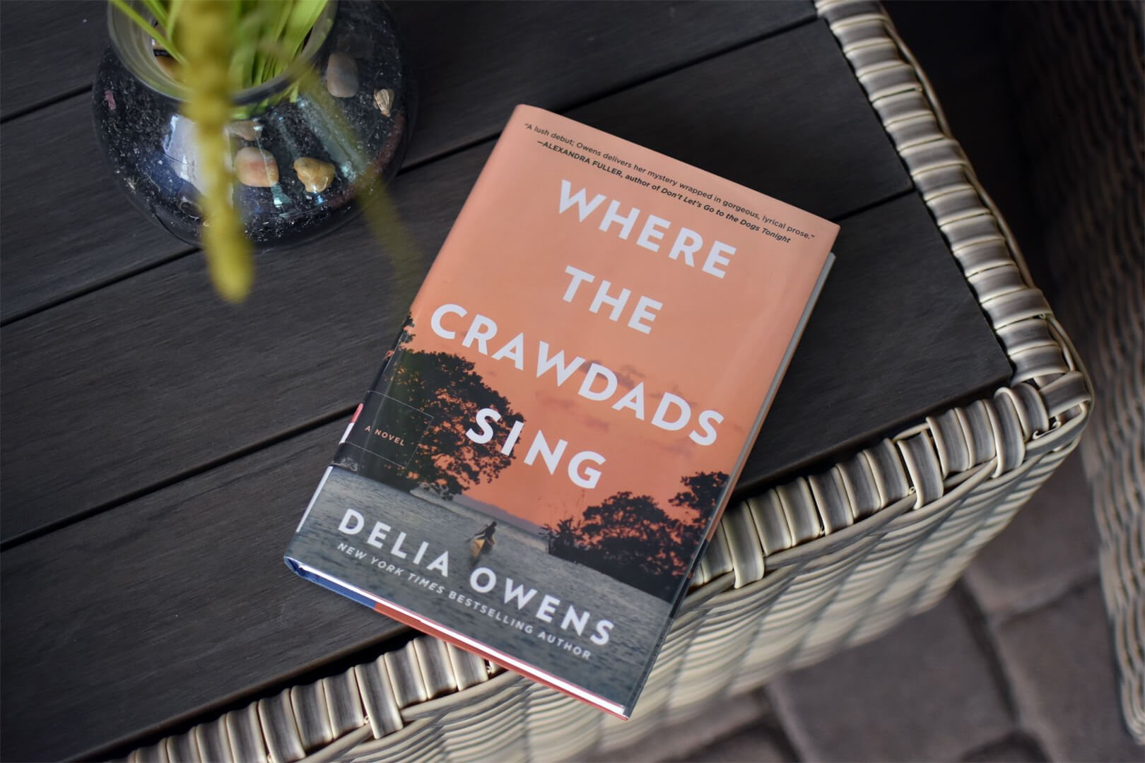where the crawdads sing