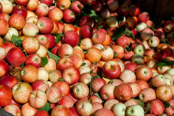 A surprising health habit: Apple cider vinegar before meals 3 pexels nc farm bureau mark 2253316